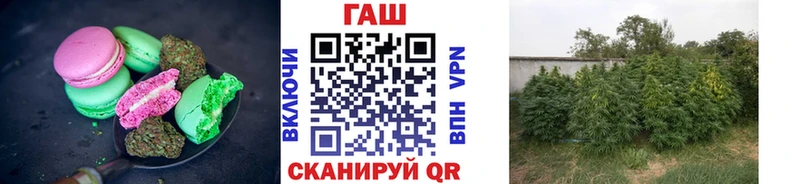 kraken как зайти  где найти наркотики  Кизилюрт  Еда ТГК конопля 