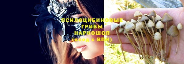амф Беломорск