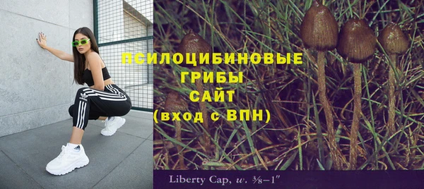 прущие крисы Балабаново
